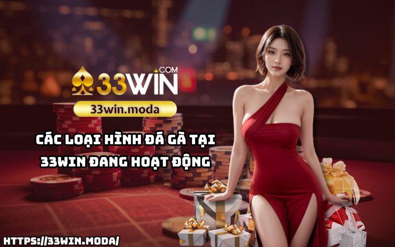 Khám phá các thể loại đá gà 33Win - Từ truyền thống đến hiện đại, đủ mọi phong cách Khám phá các thể loại đá gà 33Win - Từ truyền thống đến hiện đại, đủ mọi phong cách
